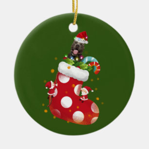 Pickbulle mit Socken Keramik Ornament
