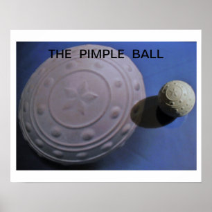 Pickelball Poster