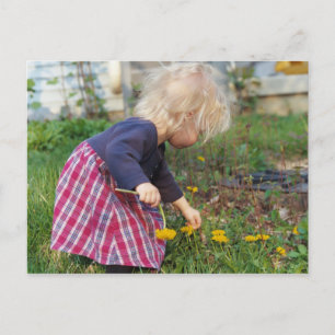Picken von Lüstern Postkarte