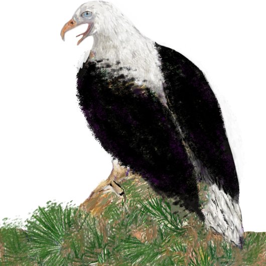 Picketballaddel, Adler, benutzerdefinierter Text Pickleball Schläger