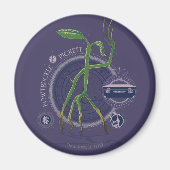 PICKETT™ BOWTRUCKLE™ Graphic Magnet (Vorne)