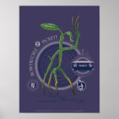 PICKETT™ BOWTRUCKLE™ Graphic Poster (Vorne)