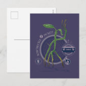 PICKETT™ BOWTRUCKLE™ Graphic Postkarte (Vorne/Hinten)