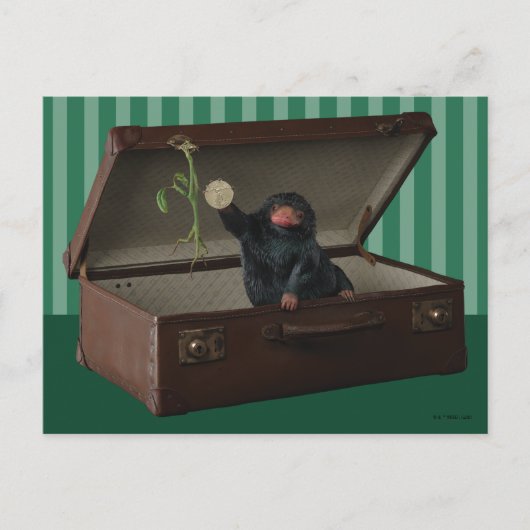 Pickett & Teddy in einem kurzen Vortrag Postkarte (Vorderseite)