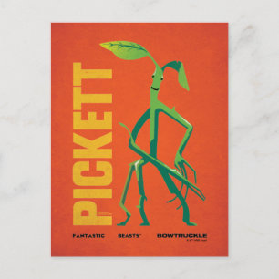 Pickett Vintage Grafik Postkarte