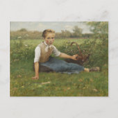 Picking-Blume | 1882 Postkarte (Vorderseite)
