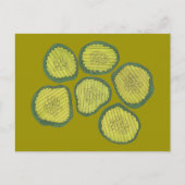 Pickle Chips Green Kosher Dill Pickle Chip Design Postkarte (Vorderseite)