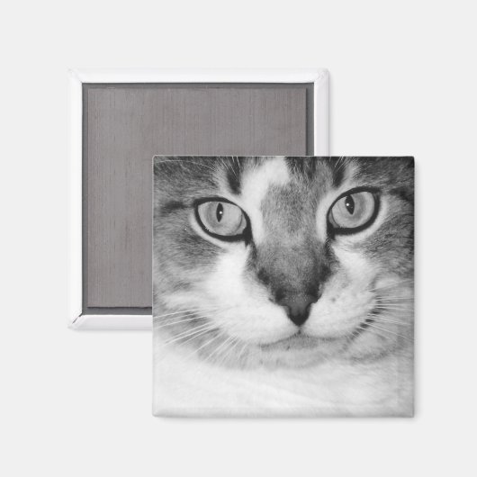 Pickle Magnet (Vorderseite/Rückseite)