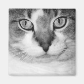 Pickle Magnet (Vorne)