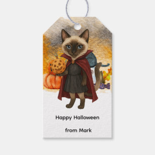 Pickleball-Halloween-Party für Katzenliebhaber Geschenkanhänger