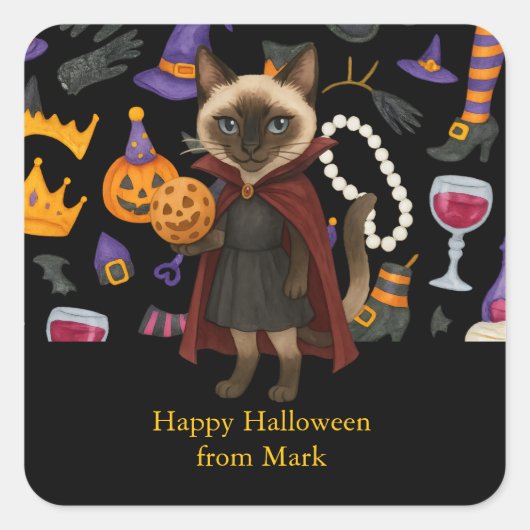 Pickleball-Halloween-Party für Katzenliebhaber Quadratischer Aufkleber (Vorderseite)