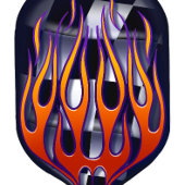 Pickleball-Paddel mit kontrollierter Flagge Pickleball Schläger