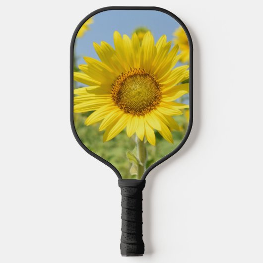Pickleball Paddle (Vorderseite)