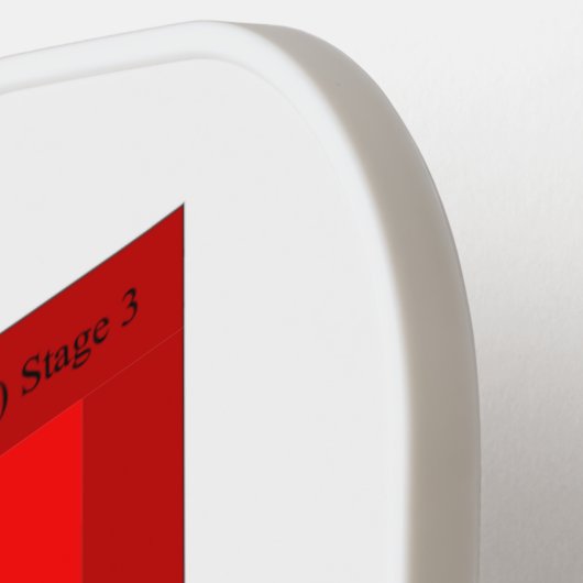 Pickleball Paddle Blutdruckdiagramm Regenbogen (Linke Seite)