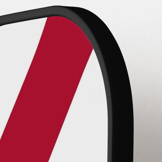 Pickleball Paddle unter der Flagge von Alabama, US (Linke Seite)