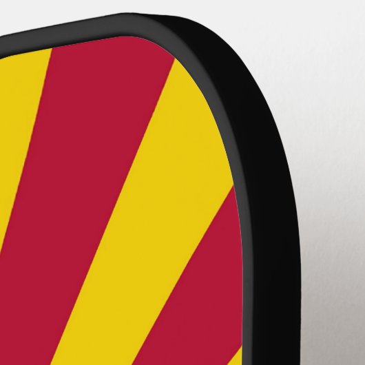 Pickleball Paddle unter der Flagge von Arizona, US (Linke Seite)