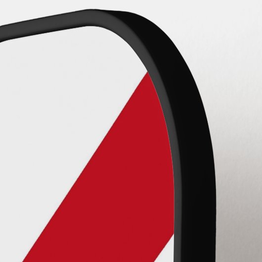 Pickleball Paddle unter der Flagge von Florida, US (Linke Seite)