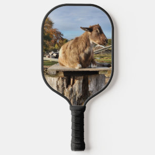 Pickleball Paddle "Ziege"
