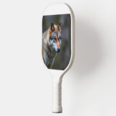 Pickleball paddles (Links)