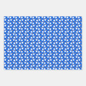 Pickleball Paddles, Orange Pickleball Balls, blau Geschenkpapier Set (Vorderseite 3)