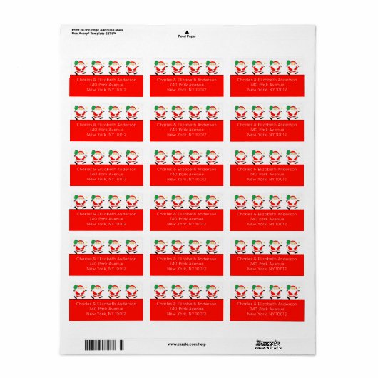 Pickleball Weihnachten Adressaufkleber (Vorne)