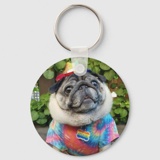 Pickles farbiger Schlüsselanhänger (Vorderseite)