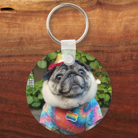 Pickles farbiger Schlüsselanhänger (Vorderseite)