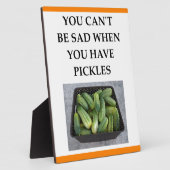 PICKLES FOTOPLATTE (Seite)