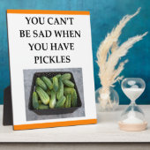 PICKLES FOTOPLATTE (Seite)