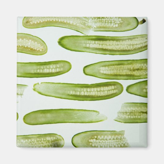 Pickles Green Magnet (Vorne)
