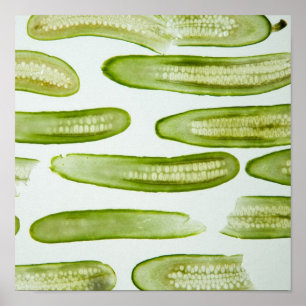 Pickles Green Poster