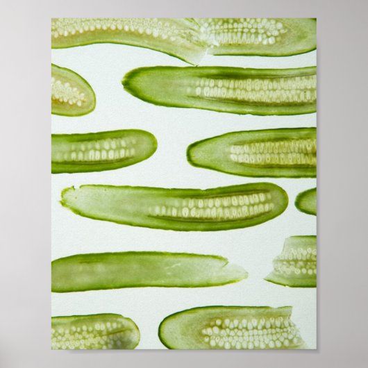 Pickles Green Poster (Vorne)