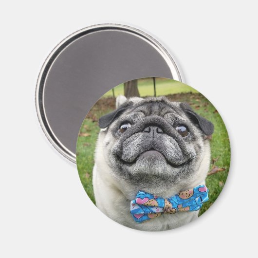 Pickles Magnet (Vorderseite/Rückseite)