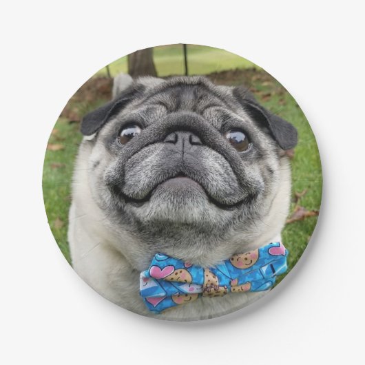 Pickles Paper Plate Pappteller (Vorderseite)