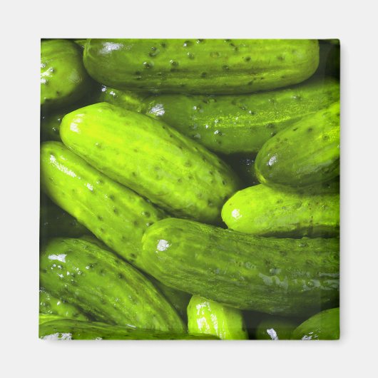 Pickles Pickle Lover Geschenk Pickle Ball personal Magnet (Vorne)