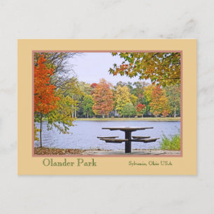 Picknick am See, umgeben von Herbstfarbe Postkarte