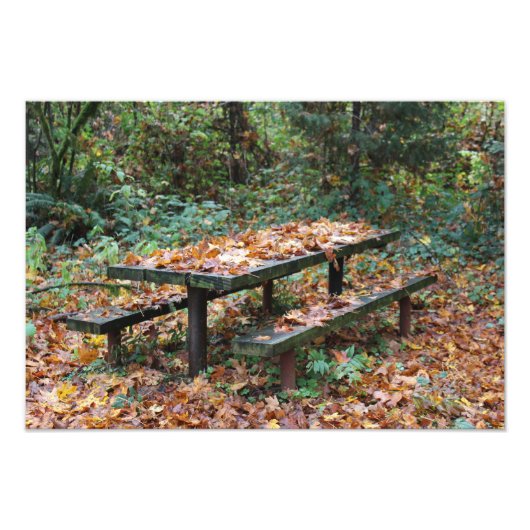Picnic Bench 19" x 13" Foto Erweiterung (Vorne)