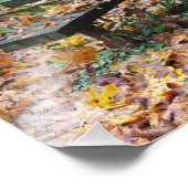 Picnic Bench 19" x 13" Foto Erweiterung (Ecke)