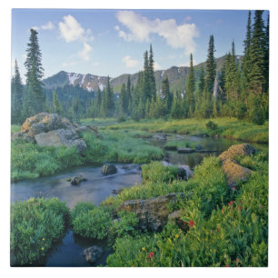 Picnic Creek im Jewel Basin im Swan Fliese