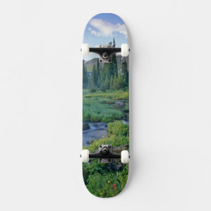 Picnic Creek im Jewel Becken der Schwan Skateboard