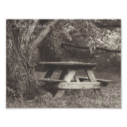 Picnic Fotodruck (Vorne)