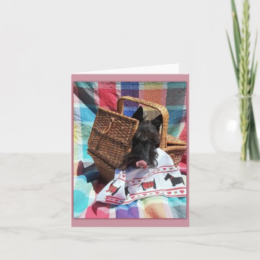 Picnic Fun (Vorderseite)