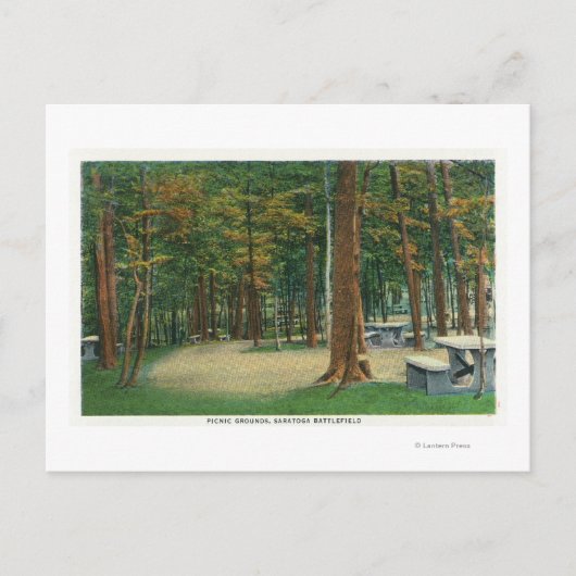Picnic Grounds View von Saratoga Schlachtfeld Postkarte (Vorderseite)