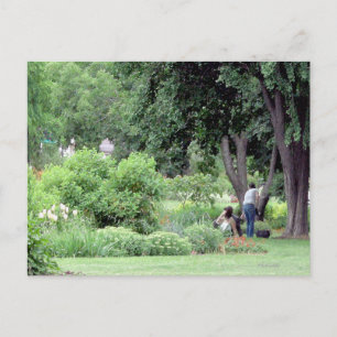 Picnic im Park Postkarte