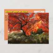 Picnic Tree Postkarte (Vorne/Hinten)