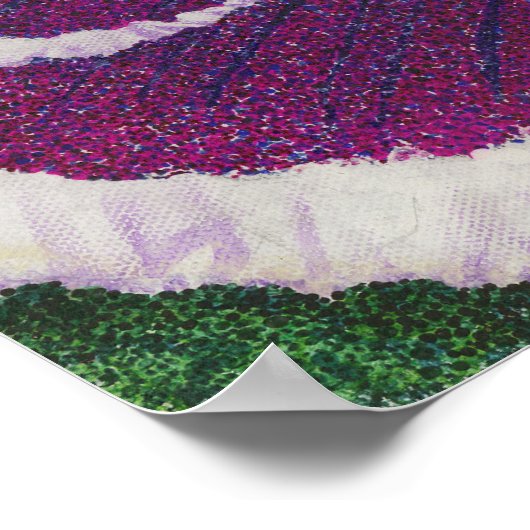 Picottee Pansy Poster (Ecke)