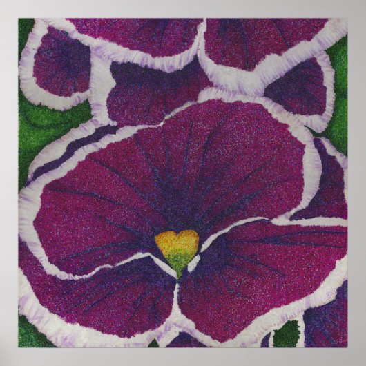 Picottee Pansy Poster (Vorne)