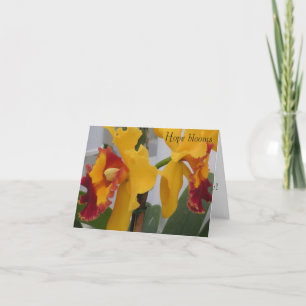 PICT0396, Hoffnungsblüten Dankeskarte