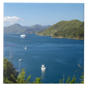 Picton Harbour, Marlborough Sounds, Süd Fliese