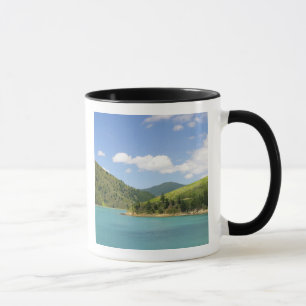 Picton, Neuseeland. Das Tor zwischen Nord Tasse